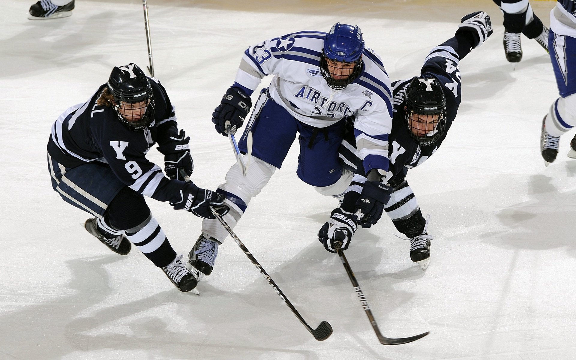 CBA球队签约多名潜力新星 加强阵容厚度，cba联赛球队球员