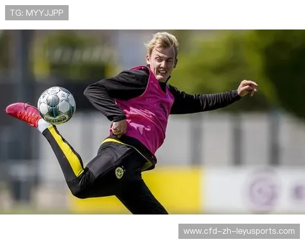 多特蒙德瞄准葡超天赋中卫，鲁尔区豪门进入谈判阶段