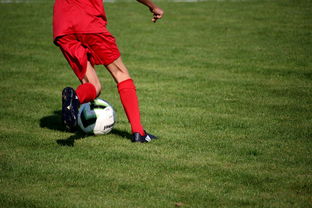 乐鱼体育官网投注-中国篮球教练员战术创新培训体系，全国篮球教练员岗位培训