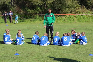 乐鱼体育app在线登录-中国篮球教练员战术创新能力培养及培训机制研究，全国篮球教练员岗位培训